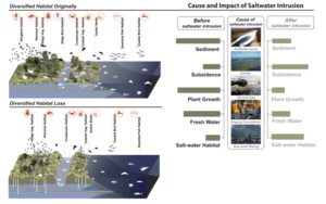 thumbnail of dbpedia resource