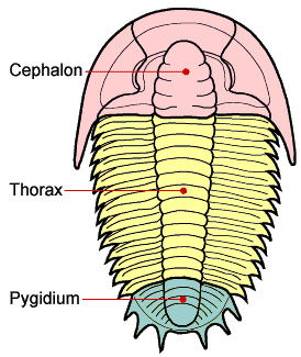 thumbnail of dbpedia resource