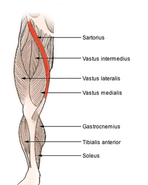 thumbnail of dbpedia resource