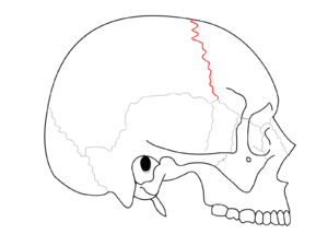 thumbnail of dbpedia resource