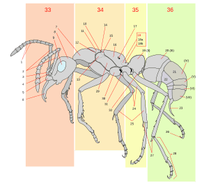 thumbnail of dbpedia resource