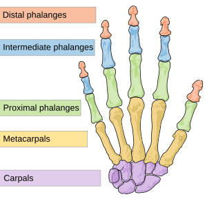 thumbnail of dbpedia resource