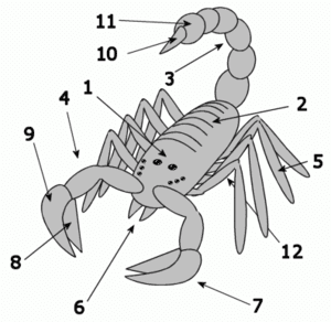 thumbnail of dbpedia resource