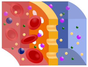 thumbnail of dbpedia resource