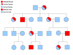 thumbnail of dbpedia resource