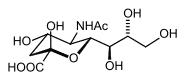 thumbnail of dbpedia resource