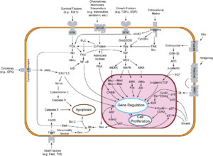 thumbnail of dbpedia resource