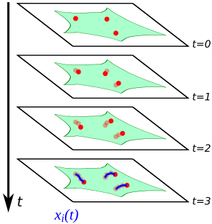 thumbnail of dbpedia resource