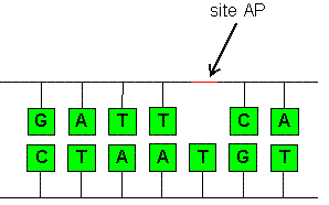 thumbnail of dbpedia resource