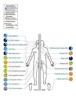 thumbnail of dbpedia resource