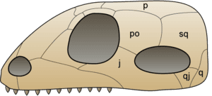 thumbnail of dbpedia resource