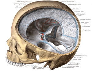 thumbnail of dbpedia resource