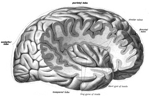 thumbnail of dbpedia resource