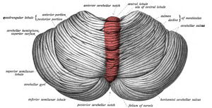 thumbnail of dbpedia resource