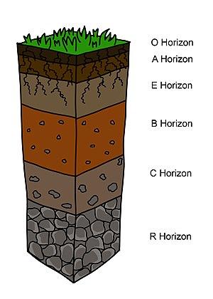 thumbnail of dbpedia resource