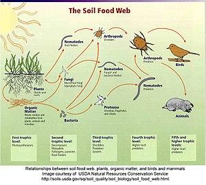 thumbnail of dbpedia resource