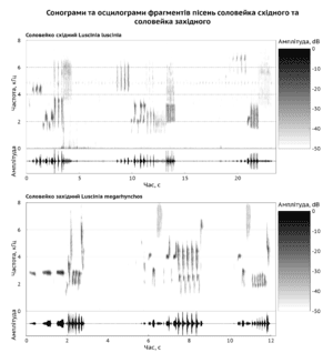 thumbnail of dbpedia resource