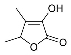 thumbnail of dbpedia resource