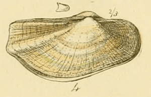 thumbnail of dbpedia resource