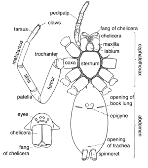 thumbnail of dbpedia resource