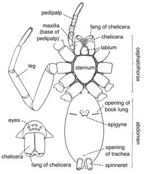 thumbnail of dbpedia resource