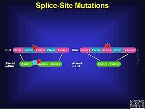 thumbnail of dbpedia resource