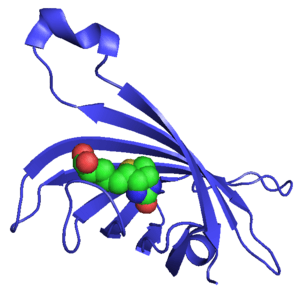 thumbnail of dbpedia resource