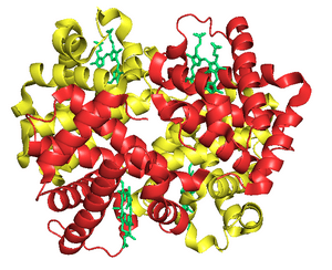 thumbnail of dbpedia resource