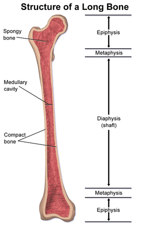 thumbnail of dbpedia resource