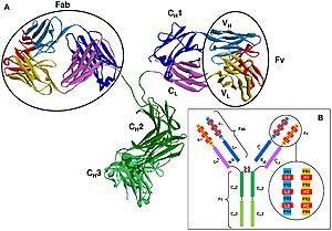 thumbnail of dbpedia resource