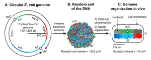 thumbnail of dbpedia resource