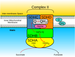 thumbnail of dbpedia resource