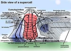 thumbnail of dbpedia resource