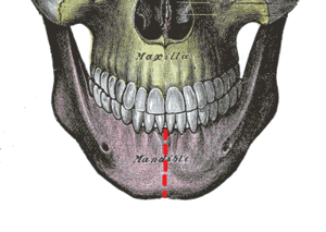 thumbnail of dbpedia resource