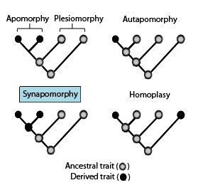 thumbnail of dbpedia resource