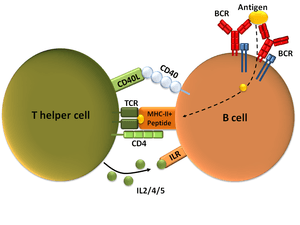 thumbnail of dbpedia resource