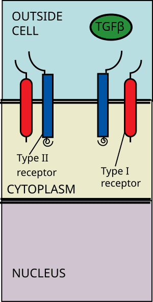 thumbnail of dbpedia resource