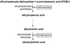 thumbnail of dbpedia resource