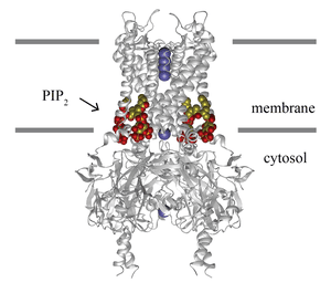 thumbnail of dbpedia resource