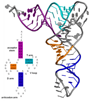 thumbnail of dbpedia resource