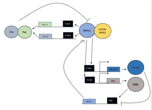 thumbnail of dbpedia resource