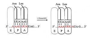 thumbnail of dbpedia resource