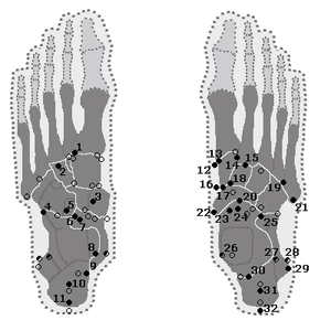 thumbnail of dbpedia resource