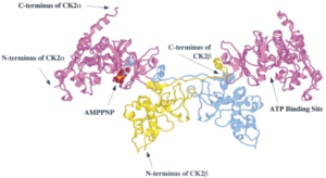 thumbnail of dbpedia resource