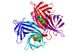 thumbnail of dbpedia resource