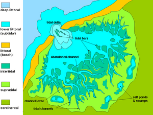 thumbnail of dbpedia resource