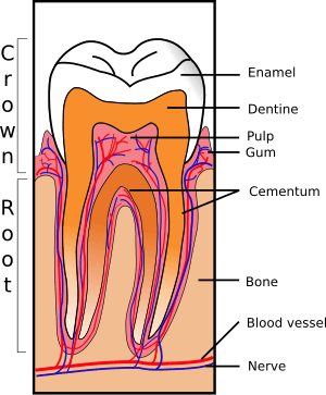 thumbnail of dbpedia resource