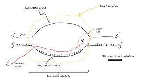 thumbnail of dbpedia resource