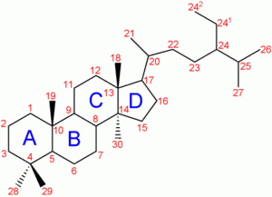 thumbnail of dbpedia resource