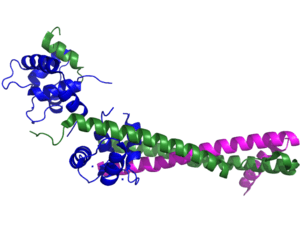 thumbnail of dbpedia resource